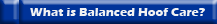 What is Balanced Hoof Care?